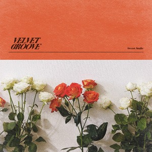 欧美女性交裸阴
